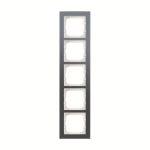 BJ Abdeckrahmen 5-fach          1725-229 