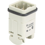 Wieland              MIN STS 4 2,5 25 AG 