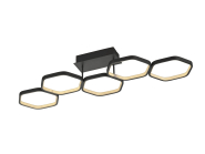 Trio LED-Deckenleuchte VIGO    R62055142 