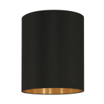 EGLO Pasteri Pro Schirm zu         61402 