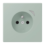 Jung JUNG HOME        BT LC 1521 F S 217 