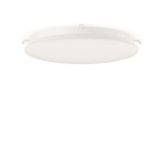 RZB FLATLINER 2, 43 W,     312828.002.76 