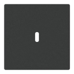 BJ Zentralscheibe USB C Power   6479-885 