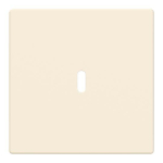 BJ Zentralscheibe USB C Power    6479-82 