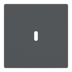 BJ Zentralscheibe USB C Power    6479-81 