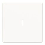 BJ Zentralscheibe USB C Power    6479-84 