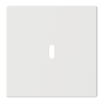 BJ Zentralscheibe USB C Power   6479-884 