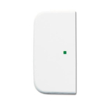 BJ Wippe 2-fach Symbol Licht 6230-20-214 