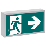 CEAG 71011 LED CG-S          40071351280 