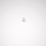 TRILUX Endk 3PH NO XTS41-3 01    5855600 