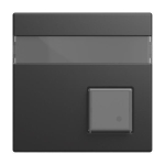 BJ Zentralscheibe 1-fach     1571 CN-915 