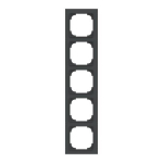 BJ Rahmen 5-fach m.Dekorring   1725-456M 