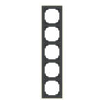 BJ Rahmen 5-fach m.Dekorring   1725-453M 