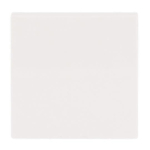 BJ balance SI Wippe Wechsel     2506-914 