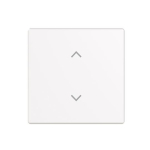 BJ Wippe 1-fach m.Symbol      6735-11-84 