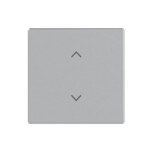 BJ Wippe 1-fach m.Symbol      6735-11-83 