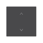 BJ Wippe 1-fach m.Symbol     6735-11-45M 