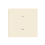 BJ Wippe 1-fach m.Symbol      6735-11-82 