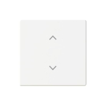 BJ Wippe 1-fach m.Symbol     6735-11-884 