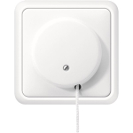 JG Zug-Wechselschalter          5506ZUWW 