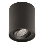 EVN Anbaudownlight schwenkb. ALS20100902 