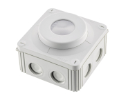 Pracht XLS CCS HRO -Tageslicht-  9800005 