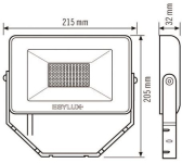 Esylux OFL BASIC LED 30W      EL10810824 