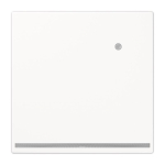 Jung                       LS1539-OWWLNW 