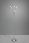 Trio LED-Stehleuchte REED, 5x  R41031507 