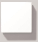 BEGA Decken-/Wandleuchte LED 3K  12147K3 