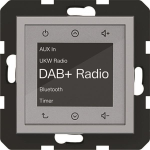 Hager Radio Touch UP           WAN6111TA 