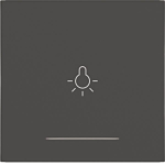 Hager Wippe 1f m.Aufdruck      WAW1032AT 