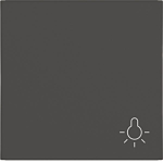 Hager Wippe 1fach m.Aufdruck   WAW1012AT 