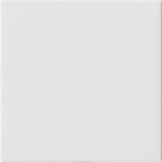 GIRA 810827 Blindabdeckung o.Tragring 