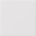 GIRA 810803 Blindabdeckung o.Tragring 