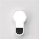 GIRA 866403 Abdeckung Schlüsselschalter 