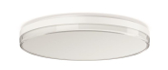 RZB SCABRA R Echglas-Optik    312815.002 