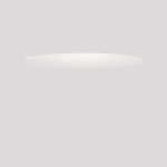 RZB Abschlußscheibe D598,     982444.002 