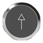ABB Drucktaster schwarz Pfeil   MP9-1233 