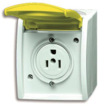 BJ Busch-Nema-Steckdose 15A   3015EWN-54 