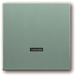 BJ future linear Bedienele-  6543-83-101 