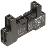 Weidmüller SRC-I 2CO N Relaiskoppler 