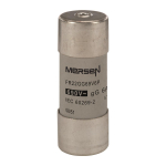 Mersen Sicherungseinsatz     FR22GG69V6P 