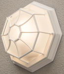 KONS Wand-u. Deckenleuchte      7091-250 