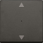 Merten Wippe f.Taster-Modul MEG5215-0414 