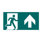 CEAG LED-Piktogramm PO       40071355558 