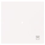 BJ Wippe 1-fach m.Symbol     6232-10-44G 