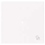 BJ Wippe 1-fach m.Symbol     6234-10-44G 