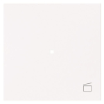 BJ Wippe 1-fach m.Symbol     6233-10-44G 