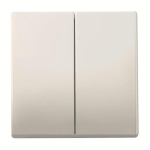 BJ FoH-Bedienelement 2fach  6736 FoH-866 